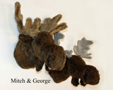 George - Medium Moose