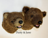 Juno - Large Kodiak Bear