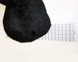 Black Bear - Largest Plush Wall Mount - 'Shash'