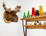 Moose Large Plush Wall Mount - 'Mitch'