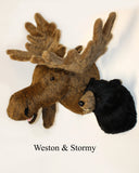 Moose Largest Plush Wall Mount - 'Weston' - Fairgame Wildlife