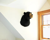 Black Bear - Largest Plush Wall Mount - 'Shash'