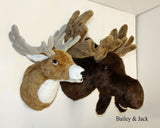 Bailey - Large Deer