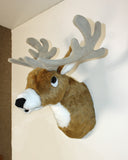 Buckley - Medium Deer