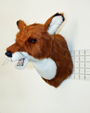 Red Fox Medium Plush Wall Mount - 'Carson' - Fairgame Wildlife