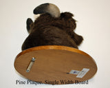 Buffalo Small Plush Wall Mount - 'Cody'