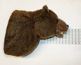 Hunter- Extra Large Brown Bear
