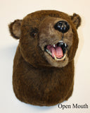 Hunter- Extra Large Brown Bear