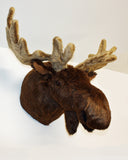 Ian - XXX-Large Moose