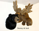Bear Black X-Large Plush Wall Mount - 'Stormy' - Fairgame Wildlife