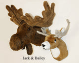 Moose XX-Large Plush Wall Mount - 'Jack' - Fairgame Wildlife