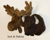 Moose XX-Large Plush Wall Mount - 'Jack' - Fairgame Wildlife