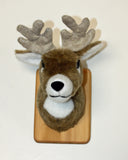 Johnny - Tiny Deer