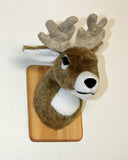 Johnny - Tiny Deer