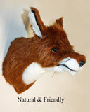 Red Fox Medium Plush Wall Mount - 'Katherine' - Fairgame Wildlife