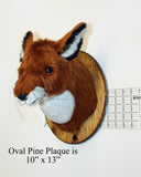 Red Fox Medium Plush Wall Mount - 'Katherine'