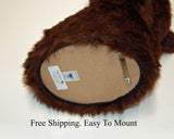 Bear Brown Large Plush Wall Mount - 'Major"