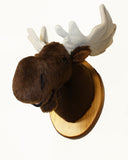 Moose Small Plush Wall Mount - 'Maynard'