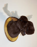 Maynard - Small Moose