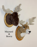 Maynard - Small Moose