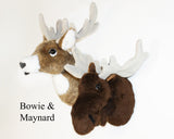 Moose Small Plush Wall Mount - 'Maynard'
