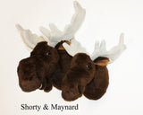 Moose Small Plush Wall Mount - 'Maynard'