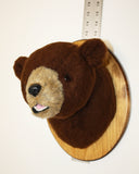 Bear Brown Small Plush Wall Mount - ' Rusty'