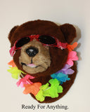 Bear Brown Small Plush Wall Mount - ' Rusty'