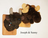 Moose Tiny Plush Wall Mount - 'Sunny'