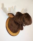 Moose medium Plush Wall Mount - 'Shorty'