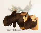 Moose Tiny Plush Wall Mount - 'Sunny'