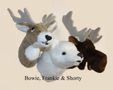 Moose medium Plush Wall Mount - 'Shorty'