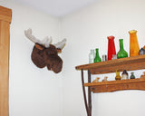 Moose medium Plush Wall Mount - 'Shorty'