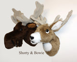 Deer Small Plush Wall Mount - 'Bowie'