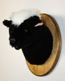 Faux taxidermy skunk mounted on a wooden plaque on a white background.