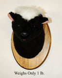 Black and white stuffed skunk head mounted on a wooden plaque with text 'Weights Only 1 lb.'
