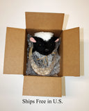 Skunk Small Plush Wall Mount - Simon