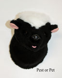 Small plush  skunk mount with text 'Pest or Pet' on a light background