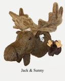 Moose XX-Large Plush Wall Mount - 'Jack'