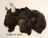 Tatanka - Large Buffalo