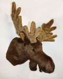 Weston - Largest Moose