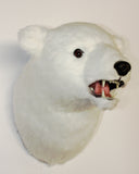 Callisto - Large Polar Bear