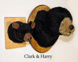 Clark - Tiny Black Bear
