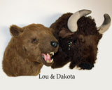 Dakota - X-Large Buffalo