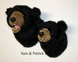 Sam - Large Black Bear