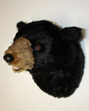 Ursa - Large Black Bear